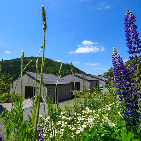Sauerland Lodge - Haus Maxim Winterberg Exteriér fotografie