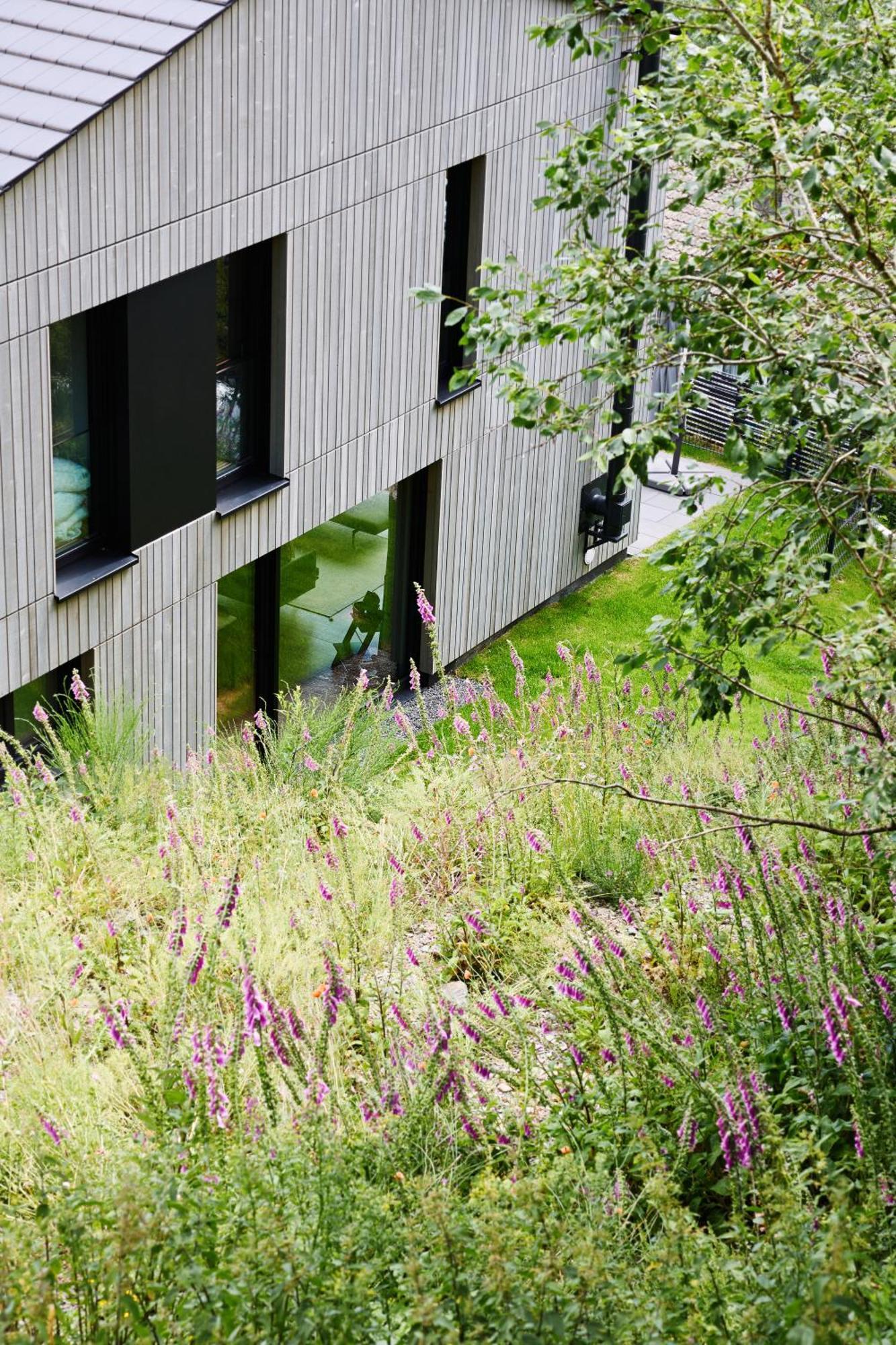 Sauerland Lodge - Haus Maxim Winterberg Exteriér fotografie